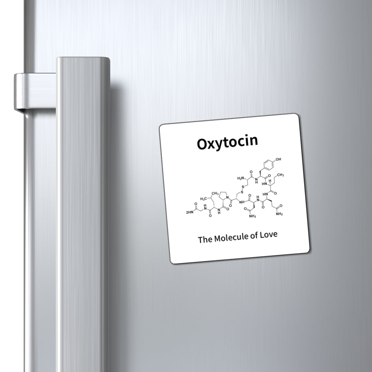 Oxytocin Molecule Magnet — "The Molecule of Love" Science Refrigerator Magnet
