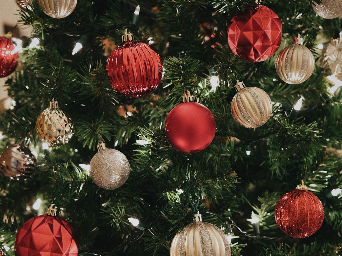 Why Christmas Trees Smell Amazing | The Pine Aroma Chemistry Behind Holiday Magic