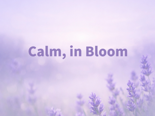 Linalool: the chemistry of Calm in Bloom