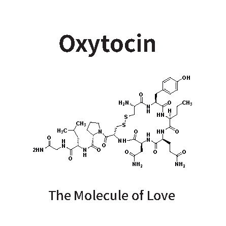 Oxytocin: The Molecule of Love and Connection