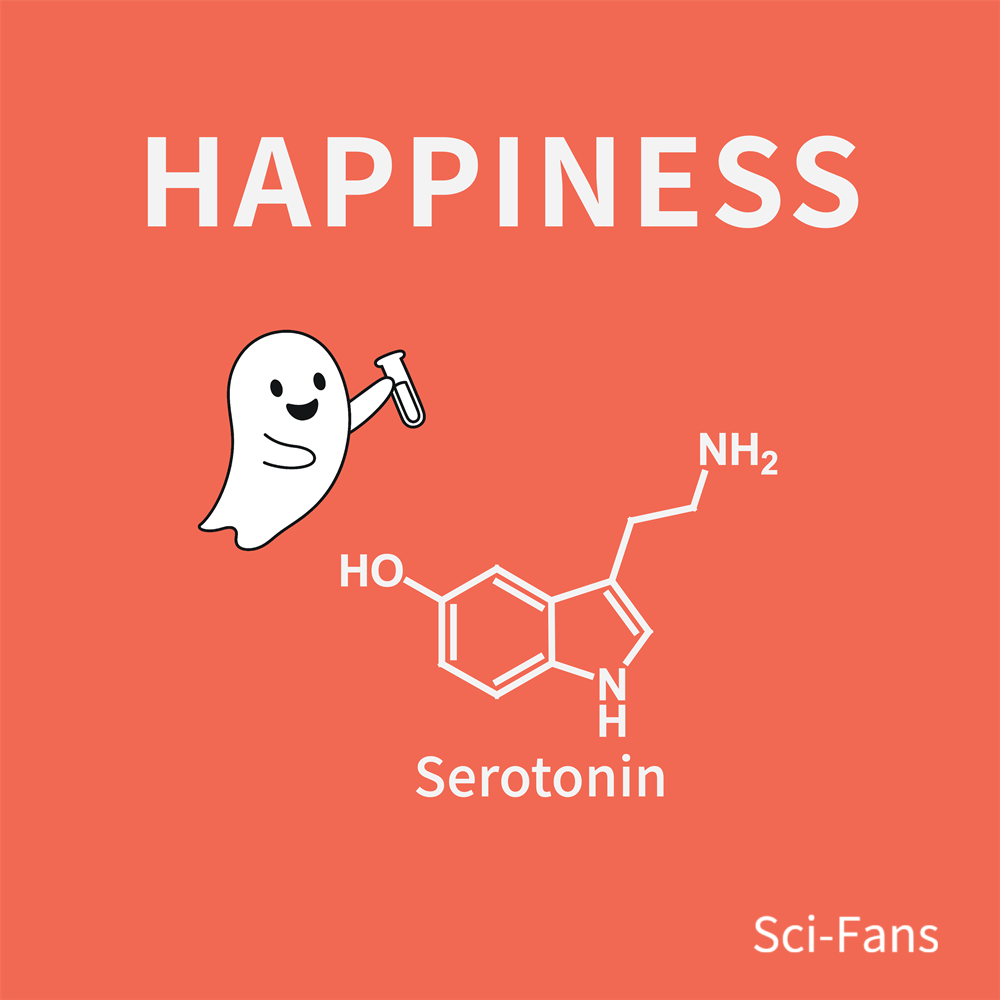 Serotonin: The Molecule of Happiness