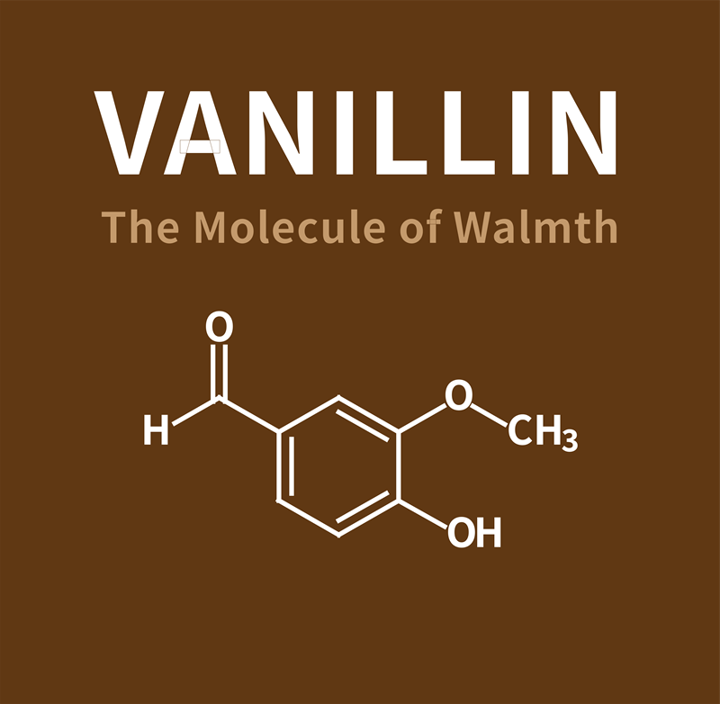 Vanillin: The Molecule of Warmth