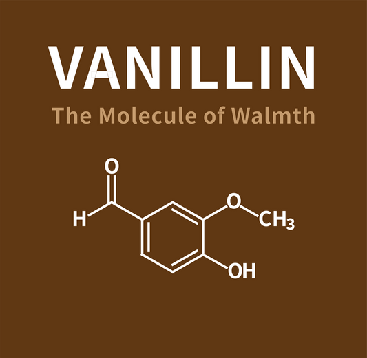 Vanillin: The Molecule of Warmth