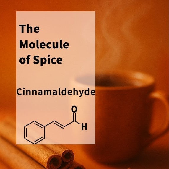 Cinnamaldehyde - the Molecule of Spice