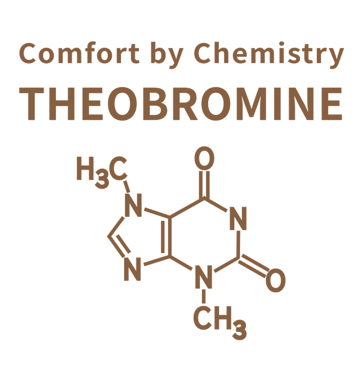 Theobromine - The Molecule of Comfort