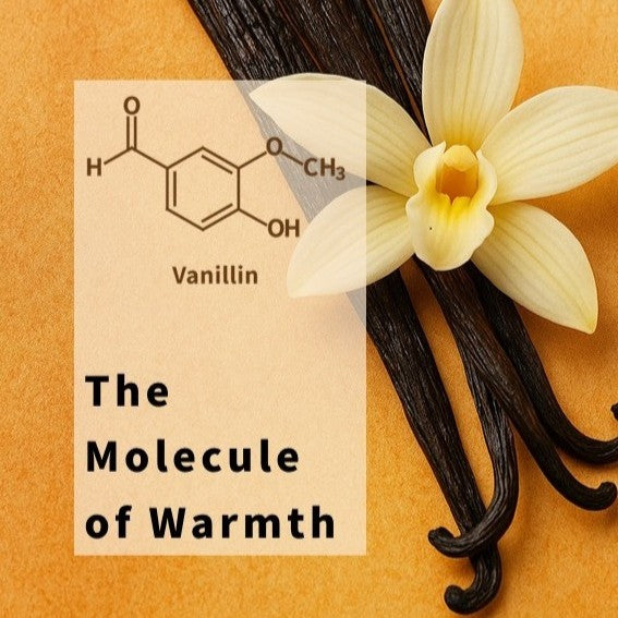 Vanillin - the Molecule of Warmth