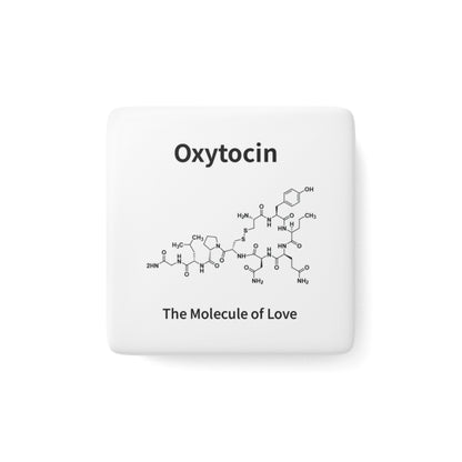 Oxytocin Molecule Porcelain Magnet - The Molecule of Love