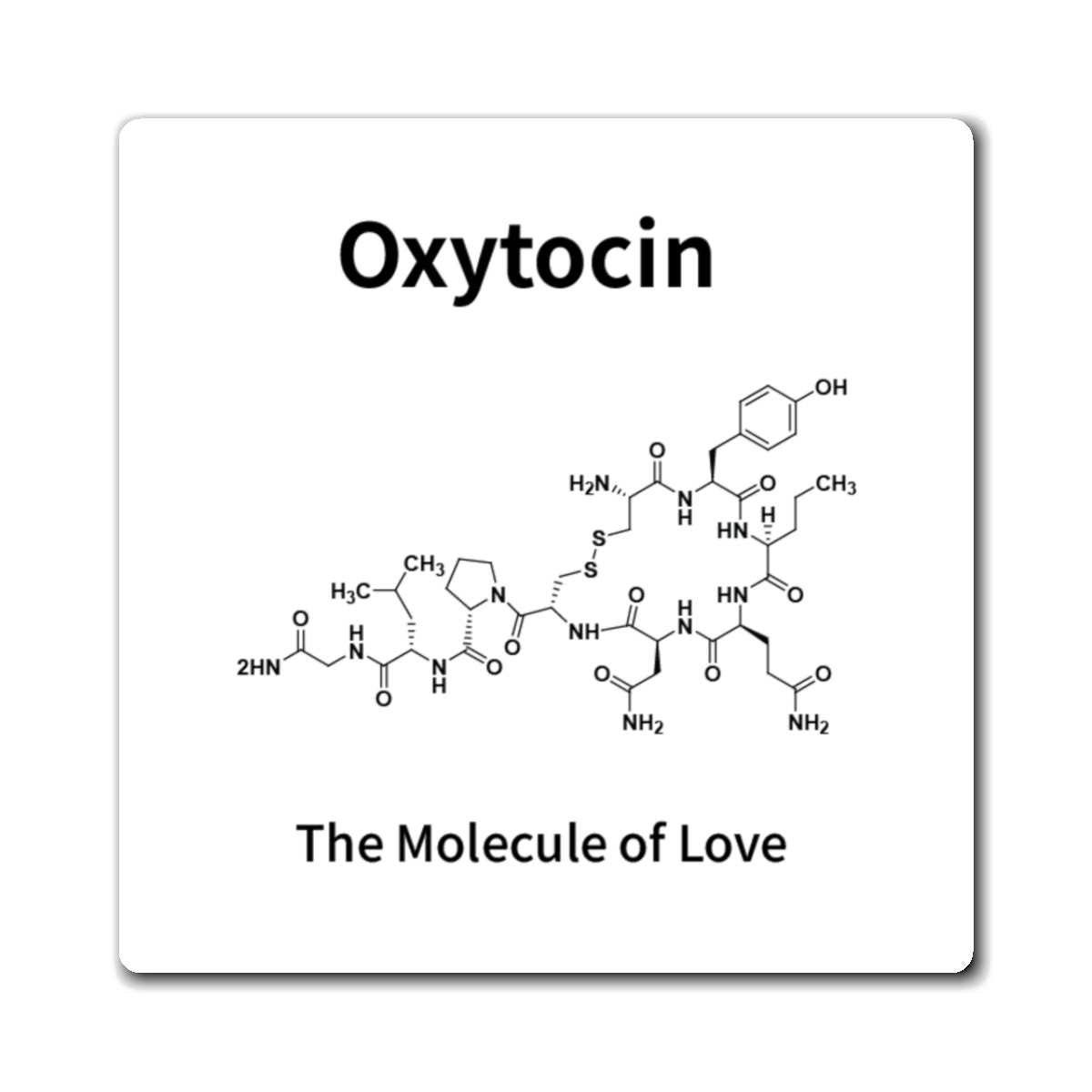 Oxytocin Molecule Magnet — "The Molecule of Love" Science Refrigerator Magnet
