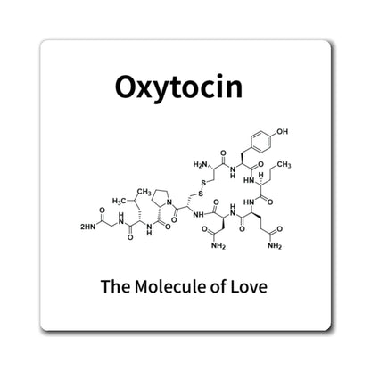 Oxytocin Molecule Magnet — "The Molecule of Love" Science Refrigerator Magnet
