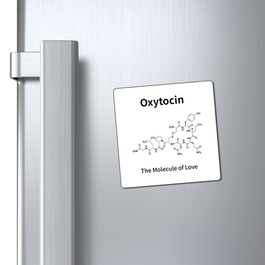 Oxytocin Molecule Magnet — "The Molecule of Love" Science Refrigerator Magnet
